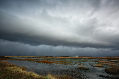 <i class='fa fa-user'></i>&nbsp;Pieter  LJ&nbsp;|  Shelf Cloud&nbsp; <i class='fa fa-eye'>&nbsp;83</i> &nbsp;<i class='fa fa-thumbs-up'>&nbsp;2</i> &nbsp; <i class='fa fa-comment-o'>&nbsp;3</i>