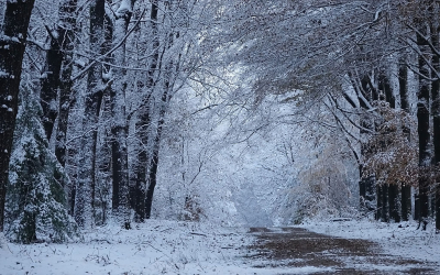 <i class='fa fa-user'></i>&nbsp;nelappelmelk&nbsp;|  Winters weer 2&nbsp; <i class='fa fa-eye'>&nbsp;102</i> &nbsp;<i class='fa fa-thumbs-up'>&nbsp;7</i> &nbsp; <i class='fa fa-comment-o'>&nbsp;12</i>