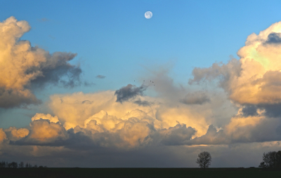 <i class='fa fa-user'></i>&nbsp;Eric Gibcus&nbsp;|  Maan&nbsp; <i class='fa fa-eye'>&nbsp;66</i> &nbsp;<i class='fa fa-thumbs-up'>&nbsp;1</i> &nbsp; <i class='fa fa-comment-o'>&nbsp;4</i>