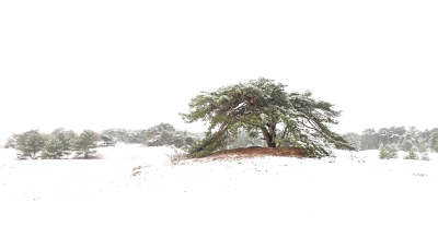 <i class='fa fa-user'></i>&nbsp;nelappelmelk&nbsp;|  Winters weer 3&nbsp; <i class='fa fa-eye'>&nbsp;98</i> &nbsp;<i class='fa fa-thumbs-up'>&nbsp;2</i> &nbsp; <i class='fa fa-comment-o'>&nbsp;6</i>