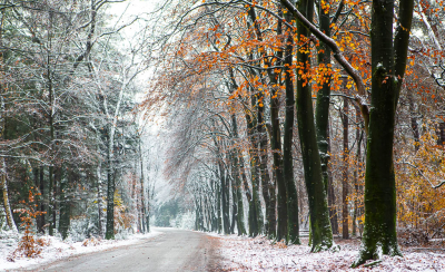 <i class='fa fa-user'></i>&nbsp;David&nbsp;|  Sneeuw&nbsp; <i class='fa fa-eye'>&nbsp;112</i> &nbsp;<i class='fa fa-thumbs-up'>&nbsp;7</i> &nbsp; <i class='fa fa-comment-o'>&nbsp;8</i>