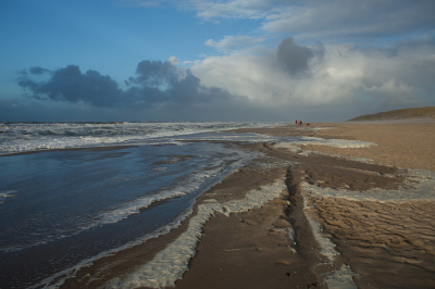 <i class='fa fa-user'></i>&nbsp;susan meijnders&nbsp;|  Een bijzondere dag op Texel&nbsp; <i class='fa fa-eye'>&nbsp;117</i> &nbsp;<i class='fa fa-thumbs-up'>&nbsp;2</i> &nbsp; <i class='fa fa-comment-o'>&nbsp;6</i>