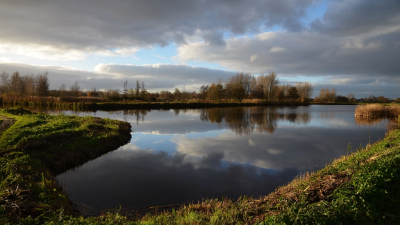 <i class='fa fa-user'></i>&nbsp;B.M.Schouten-Ruis&nbsp;|  Hitland&nbsp; <i class='fa fa-eye'>&nbsp;119</i> &nbsp;<i class='fa fa-thumbs-up'>&nbsp;9</i> &nbsp; <i class='fa fa-comment-o'>&nbsp;8</i>