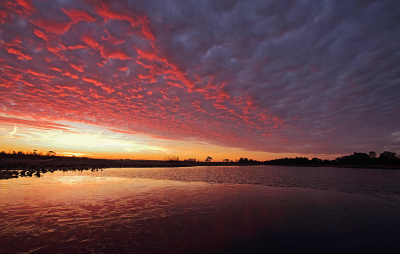 <i class='fa fa-user'></i>&nbsp;Pieter  LJ&nbsp;|  Ochtendgloren&nbsp; <i class='fa fa-eye'>&nbsp;117</i> &nbsp;<i class='fa fa-thumbs-up'>&nbsp;7</i> &nbsp; <i class='fa fa-comment-o'>&nbsp;7</i>