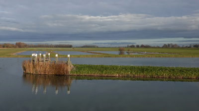 <i class='fa fa-user'></i>&nbsp;nelappelmelk&nbsp;|  Winters licht&nbsp; <i class='fa fa-eye'>&nbsp;131</i> &nbsp;<i class='fa fa-thumbs-up'>&nbsp;3</i> &nbsp; <i class='fa fa-comment-o'>&nbsp;3</i>