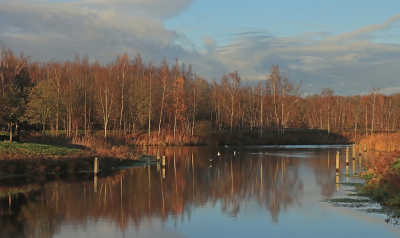 <i class='fa fa-user'></i>&nbsp;Tineke Strijbosch&nbsp;|  Zacht herfstlicht over het Noord-Willemskanaal&nbsp; <i class='fa fa-eye'>&nbsp;85</i> &nbsp; <i class='fa fa-comment-o'>&nbsp;4</i>
