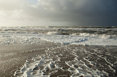 <i class='fa fa-user'></i>&nbsp;susan meijnders&nbsp;|  Rollend schuim&nbsp; <i class='fa fa-eye'>&nbsp;90</i> &nbsp;<i class='fa fa-thumbs-up'>&nbsp;3</i> &nbsp; <i class='fa fa-comment-o'>&nbsp;9</i>