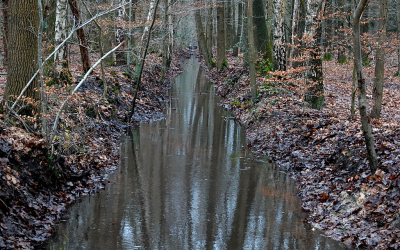 <i class='fa fa-user'></i>&nbsp;nelappelmelk&nbsp;|  Geurtsspreng&nbsp; <i class='fa fa-eye'>&nbsp;92</i> &nbsp; <i class='fa fa-comment-o'>&nbsp;4</i>