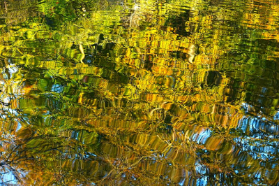 <i class='fa fa-user'></i>&nbsp;hesterb&nbsp;|  Verwaterde herfst herinneringen&nbsp; <i class='fa fa-eye'>&nbsp;67</i> &nbsp;<i class='fa fa-thumbs-up'>&nbsp;4</i> &nbsp; <i class='fa fa-comment-o'>&nbsp;7</i>