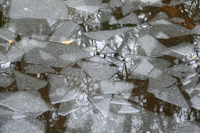 <i class='fa fa-user'></i>&nbsp;nelappelmelk&nbsp;|  Tegenstellingen&nbsp; <i class='fa fa-eye'>&nbsp;101</i> &nbsp; <i class='fa fa-comment-o'>&nbsp;8</i>