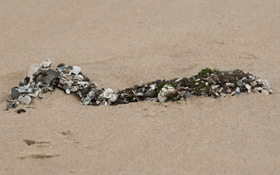 <i class='fa fa-user'></i>&nbsp;susan meijnders&nbsp;|  Guirlande&nbsp; <i class='fa fa-eye'>&nbsp;107</i> &nbsp;<i class='fa fa-thumbs-up'>&nbsp;2</i> &nbsp; <i class='fa fa-comment-o'>&nbsp;5</i>