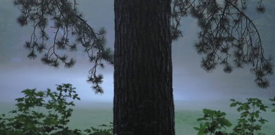 <i class='fa fa-user'></i>&nbsp;hesterb&nbsp;|  Landgoed Koningshof&nbsp; <i class='fa fa-eye'>&nbsp;102</i> &nbsp; <i class='fa fa-comment-o'>&nbsp;2</i>