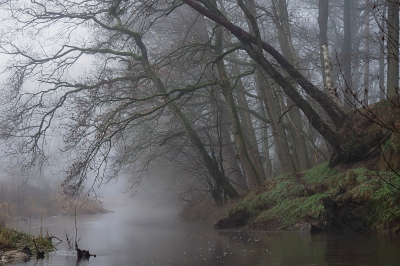 <i class='fa fa-user'></i>&nbsp;boerke&nbsp;|  Riviertje de Dinkel&nbsp; <i class='fa fa-eye'>&nbsp;99</i> &nbsp;<i class='fa fa-thumbs-up'>&nbsp;9</i> &nbsp; <i class='fa fa-comment-o'>&nbsp;8</i>