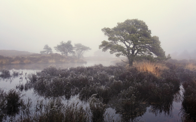 <i class='fa fa-user'></i>&nbsp;Pieter  LJ&nbsp;|  Mistig landschap&nbsp; <i class='fa fa-eye'>&nbsp;116</i> &nbsp;<i class='fa fa-thumbs-up'>&nbsp;11</i> &nbsp; <i class='fa fa-comment-o'>&nbsp;8</i>