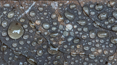 <i class='fa fa-user'></i>&nbsp;Johan van Gurp&nbsp;|  Regendruppeltjes&nbsp; <i class='fa fa-eye'>&nbsp;85</i> &nbsp;<i class='fa fa-thumbs-up'>&nbsp;10</i> &nbsp; <i class='fa fa-comment-o'>&nbsp;10</i>