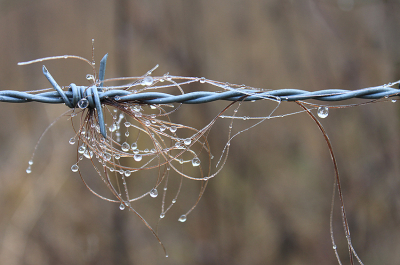 <i class='fa fa-user'></i>&nbsp;Paul Vandebroek&nbsp;|  Hard en zacht&nbsp; <i class='fa fa-eye'>&nbsp;72</i> &nbsp; <i class='fa fa-comment-o'>&nbsp;0</i>