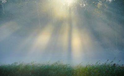 <i class='fa fa-user'></i>&nbsp;hesterb&nbsp;|  Veilig fotovuurwerk&nbsp; <i class='fa fa-eye'>&nbsp;81</i> &nbsp;<i class='fa fa-thumbs-up'>&nbsp;1</i> &nbsp; <i class='fa fa-comment-o'>&nbsp;8</i>