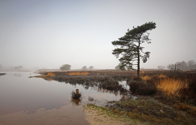 <i class='fa fa-user'></i>&nbsp;Pieter  LJ&nbsp;|  Nat wandelpad&nbsp; <i class='fa fa-eye'>&nbsp;85</i> &nbsp;<i class='fa fa-thumbs-up'>&nbsp;7</i> &nbsp; <i class='fa fa-comment-o'>&nbsp;7</i>