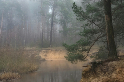 <i class='fa fa-user'></i>&nbsp;boerke&nbsp;|  Riviertje de Dinkel&nbsp; <i class='fa fa-eye'>&nbsp;105</i> &nbsp;<i class='fa fa-thumbs-up'>&nbsp;1</i> &nbsp; <i class='fa fa-comment-o'>&nbsp;5</i>