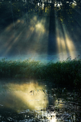 <i class='fa fa-user'></i>&nbsp;hesterb&nbsp;|  Rokende mistflarden belicht&nbsp; <i class='fa fa-eye'>&nbsp;91</i> &nbsp; <i class='fa fa-comment-o'>&nbsp;2</i>