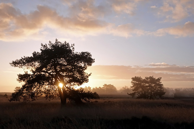 <i class='fa fa-user'></i>&nbsp;nelappelmelk&nbsp;|  De zon&nbsp; <i class='fa fa-eye'>&nbsp;77</i> &nbsp;<i class='fa fa-thumbs-up'>&nbsp;3</i> &nbsp; <i class='fa fa-comment-o'>&nbsp;6</i>