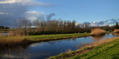 <i class='fa fa-user'></i>&nbsp;B.M.Schouten-Ruis&nbsp;|  Rottemeren&nbsp; <i class='fa fa-eye'>&nbsp;56</i> &nbsp;<i class='fa fa-thumbs-up'>&nbsp;2</i> &nbsp; <i class='fa fa-comment-o'>&nbsp;3</i>