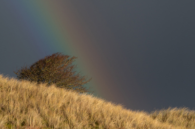 <i class='fa fa-user'></i>&nbsp;Eef Kieft&nbsp;|  Heerlijke dag&nbsp; <i class='fa fa-eye'>&nbsp;65</i> &nbsp; <i class='fa fa-comment-o'>&nbsp;3</i>