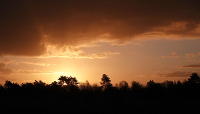 <i class='fa fa-user'></i>&nbsp;nelappelmelk&nbsp;|  Dreigende lucht bij zonsopgang&nbsp; <i class='fa fa-eye'>&nbsp;67</i> &nbsp; <i class='fa fa-comment-o'>&nbsp;1</i>