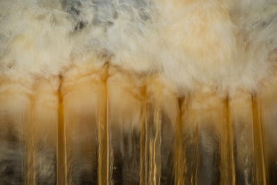 <i class='fa fa-user'></i>&nbsp;Truus Aletta Maan&nbsp;|  Water&nbsp; <i class='fa fa-eye'>&nbsp;70</i> &nbsp;<i class='fa fa-thumbs-up'>&nbsp;1</i> &nbsp; <i class='fa fa-comment-o'>&nbsp;3</i>