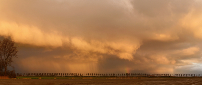 <i class='fa fa-user'></i>&nbsp;Eric Gibcus&nbsp;|  Hagel&nbsp; <i class='fa fa-eye'>&nbsp;105</i> &nbsp;<i class='fa fa-thumbs-up'>&nbsp;10</i> &nbsp; <i class='fa fa-comment-o'>&nbsp;7</i>