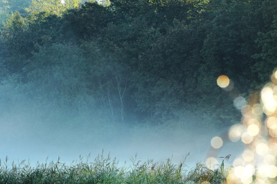 <i class='fa fa-user'></i>&nbsp;hesterb&nbsp;|  Ochtendstond heeft&nbsp; <i class='fa fa-eye'>&nbsp;66</i> &nbsp;<i class='fa fa-thumbs-up'>&nbsp;1</i> &nbsp; <i class='fa fa-comment-o'>&nbsp;3</i>