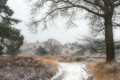 <i class='fa fa-user'></i>&nbsp;boerke&nbsp;|  Winters doorkijkje&nbsp; <i class='fa fa-eye'>&nbsp;100</i> &nbsp;<i class='fa fa-thumbs-up'>&nbsp;8</i> &nbsp; <i class='fa fa-comment-o'>&nbsp;9</i>