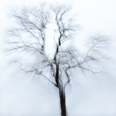 <i class='fa fa-user'></i>&nbsp;Truus Aletta Maan&nbsp;|  Winter impressie&nbsp; <i class='fa fa-eye'>&nbsp;65</i> &nbsp;<i class='fa fa-thumbs-up'>&nbsp;4</i> &nbsp; <i class='fa fa-comment-o'>&nbsp;6</i>