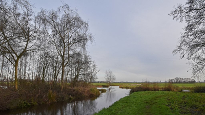 <i class='fa fa-user'></i>&nbsp;kooyammers&nbsp;|  Doorkijkje&nbsp; <i class='fa fa-eye'>&nbsp;52</i> &nbsp;<i class='fa fa-thumbs-up'>&nbsp;1</i> &nbsp; <i class='fa fa-comment-o'>&nbsp;2</i>