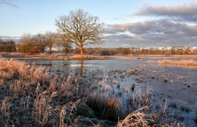 <i class='fa fa-user'></i>&nbsp;nelappelmelk&nbsp;|  Winters weer&nbsp; <i class='fa fa-eye'>&nbsp;98</i> &nbsp;<i class='fa fa-thumbs-up'>&nbsp;3</i> &nbsp; <i class='fa fa-comment-o'>&nbsp;9</i>