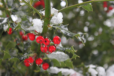 <i class='fa fa-user'></i>&nbsp;Paul Vandebroek&nbsp;|  Hulst&nbsp; <i class='fa fa-eye'>&nbsp;51</i> &nbsp;<i class='fa fa-thumbs-up'>&nbsp;1</i> &nbsp; <i class='fa fa-comment-o'>&nbsp;4</i>