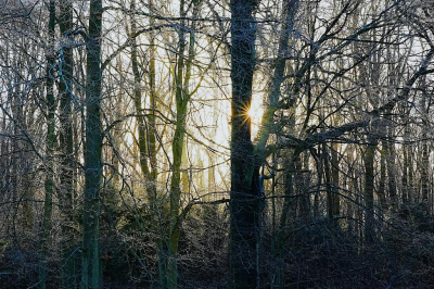<i class='fa fa-user'></i> hesterb | Winterlicht  <i class='fa fa-eye'> 36</i>   <i class='fa fa-comment-o'> 5</i>