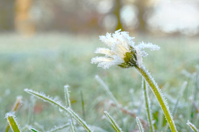 <i class='fa fa-user'></i> hesterb | Reikend naar de zon  <i class='fa fa-eye'> 38</i>   <i class='fa fa-comment-o'> 4</i>