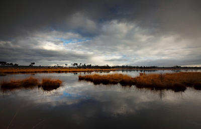 <i class='fa fa-user'></i>&nbsp;Pieter  LJ&nbsp;|  Natuurlijk vignet&nbsp; <i class='fa fa-eye'>&nbsp;62</i> &nbsp;<i class='fa fa-thumbs-up'>&nbsp;2</i> &nbsp; <i class='fa fa-comment-o'>&nbsp;3</i>