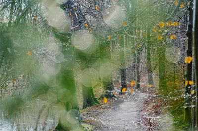 <i class='fa fa-user'></i>&nbsp;hesterb&nbsp;|  Smeltwater&nbsp; <i class='fa fa-eye'>&nbsp;83</i> &nbsp;<i class='fa fa-thumbs-up'>&nbsp;1</i> &nbsp; <i class='fa fa-comment-o'>&nbsp;7</i>