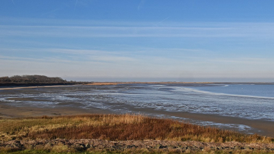 <i class='fa fa-user'></i>&nbsp;kooyammers&nbsp;|  De Kwade Hoek&nbsp; <i class='fa fa-eye'>&nbsp;63</i> &nbsp;<i class='fa fa-thumbs-up'>&nbsp;1</i> &nbsp; <i class='fa fa-comment-o'>&nbsp;3</i>