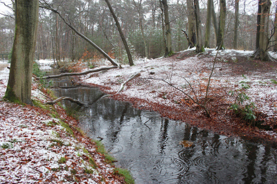 <i class='fa fa-user'></i>&nbsp;Paul Vandebroek&nbsp;|  Een winterprik&nbsp; <i class='fa fa-eye'>&nbsp;59</i> &nbsp;<i class='fa fa-thumbs-up'>&nbsp;1</i> &nbsp; <i class='fa fa-comment-o'>&nbsp;2</i>