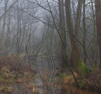 <i class='fa fa-user'></i>&nbsp;sluitertijd&nbsp;|  Koelbroek&nbsp; <i class='fa fa-eye'>&nbsp;73</i> &nbsp; <i class='fa fa-comment-o'>&nbsp;3</i>