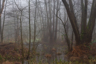 <i class='fa fa-user'></i>&nbsp;sluitertijd&nbsp;|  Koelbroek&nbsp; <i class='fa fa-eye'>&nbsp;65</i> &nbsp; <i class='fa fa-comment-o'>&nbsp;3</i>