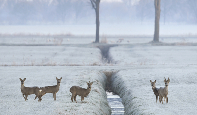 <i class='fa fa-user'></i>&nbsp;Eric Gibcus&nbsp;|  Ree&nbsp; <i class='fa fa-eye'>&nbsp;124</i> &nbsp;<i class='fa fa-thumbs-up'>&nbsp;7</i> &nbsp; <i class='fa fa-comment-o'>&nbsp;10</i>