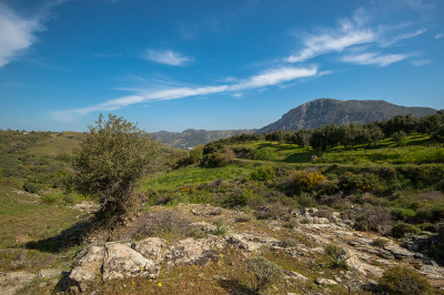 <i class='fa fa-user'></i>&nbsp;Willem Verhagen&nbsp;|  Landschap omgeving Spili&nbsp; <i class='fa fa-eye'>&nbsp;81</i> &nbsp; <i class='fa fa-comment-o'>&nbsp;4</i>