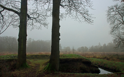 <i class='fa fa-user'></i>&nbsp;Tineke Strijbosch&nbsp;|  Het Poepenhemeltje&nbsp; <i class='fa fa-eye'>&nbsp;64</i> &nbsp; <i class='fa fa-comment-o'>&nbsp;3</i>