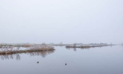 <i class='fa fa-user'></i>&nbsp;Tim Oord&nbsp;|  Mistig Waterlandschap&nbsp; <i class='fa fa-eye'>&nbsp;70</i> &nbsp; <i class='fa fa-comment-o'>&nbsp;6</i>