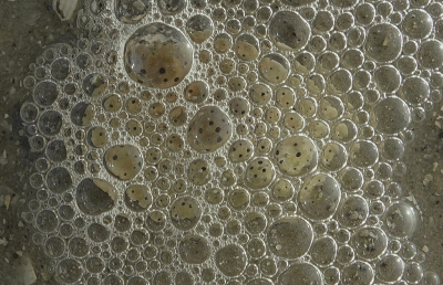 <i class='fa fa-user'></i>&nbsp;Nel R&nbsp;|  Zeeschuim&nbsp; <i class='fa fa-eye'>&nbsp;64</i> &nbsp;<i class='fa fa-thumbs-up'>&nbsp;3</i> &nbsp; <i class='fa fa-comment-o'>&nbsp;3</i>