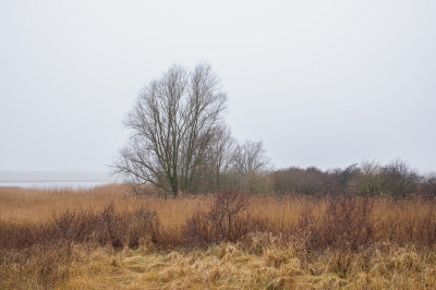 <i class='fa fa-user'></i>&nbsp;Tim Oord&nbsp;|  Stilleven&nbsp; <i class='fa fa-eye'>&nbsp;47</i> &nbsp; <i class='fa fa-comment-o'>&nbsp;0</i>